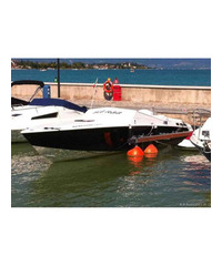 Barca modello Offshore -Wellcraft Scarab 30