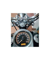 Harley-Davidson Softail Custom - 2009