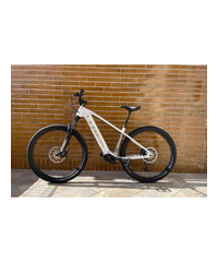 E-bike TREK Powerfly 5 (Luglio 2020)
