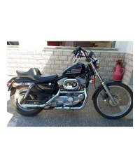 Harley-Davidson Sportster 883 - 2003