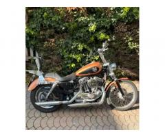 Harley Davidson Sportster 1200 XL 105 Anniversary