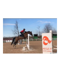 Addestramento cavalli lezioni equitazione