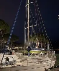 Barca vela